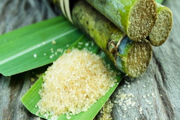 sugar cane01